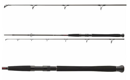 Spinningu ritv DAIWA Exceler CF Spin | 2.40m | 135g