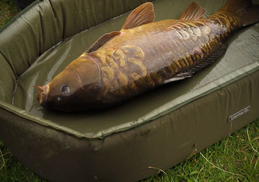 Gultiņa TrakkerSANCTUARY SELF-INFLATING CRIB XL