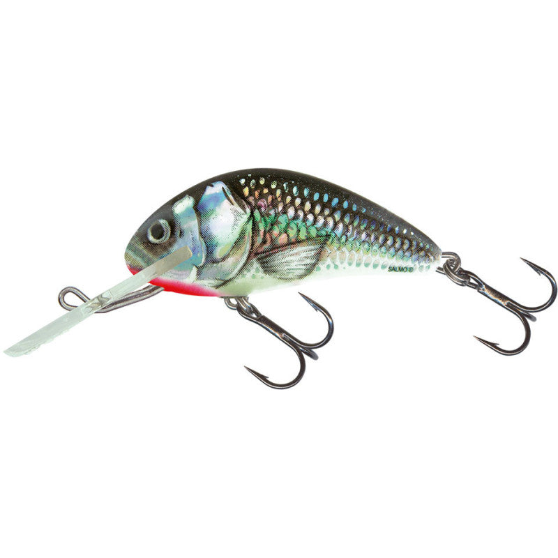Vobler Salmo HORNET 4F