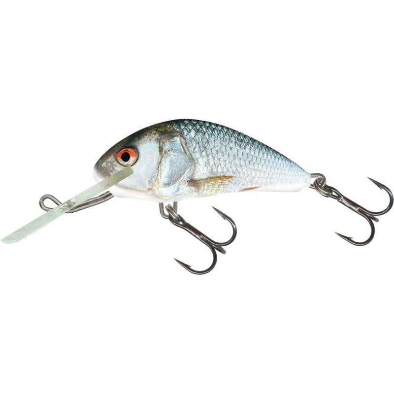 Vobler Salmo HORNET 4F